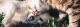 Foto door <a href="href"></a>