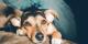 Foto door <a href=
"https://unsplash.com/@soulsaperture?utm_source=Marsvaardig&utm_medium=referral&utm_campaign=api-credit">
Lydia Torrey</a> op <a href="https://unsplash.com">Unsplash</a>